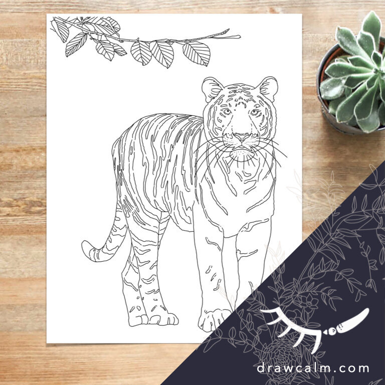 coloring-page-tiger
