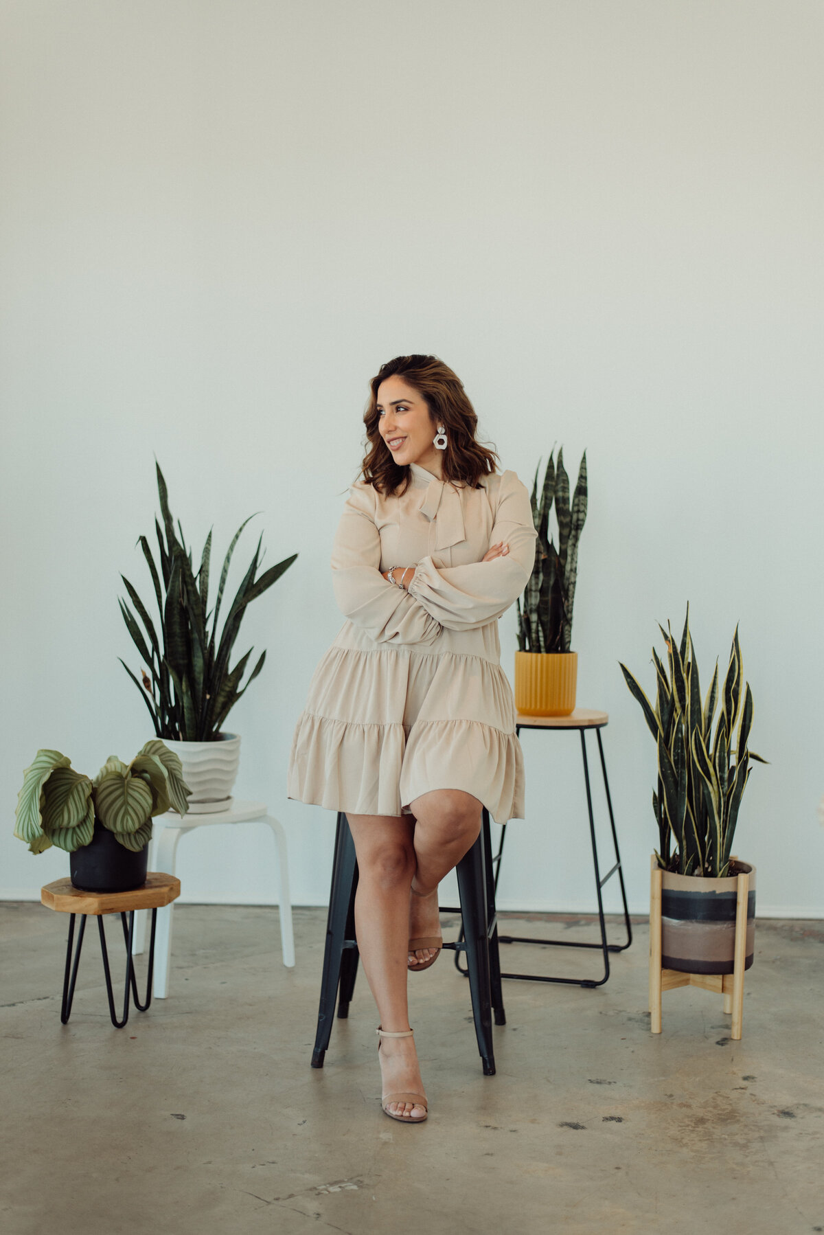 LMO_4641