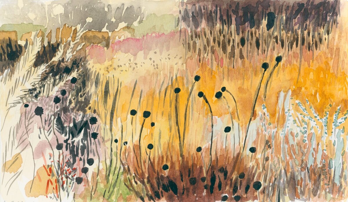 Driftwilde_watercolor_20211126_44_POD_meadow-weeds-structure-watercolor_reprint-original-artwork-waterbased-media_Anne-Cressey_A.-C._McGraw