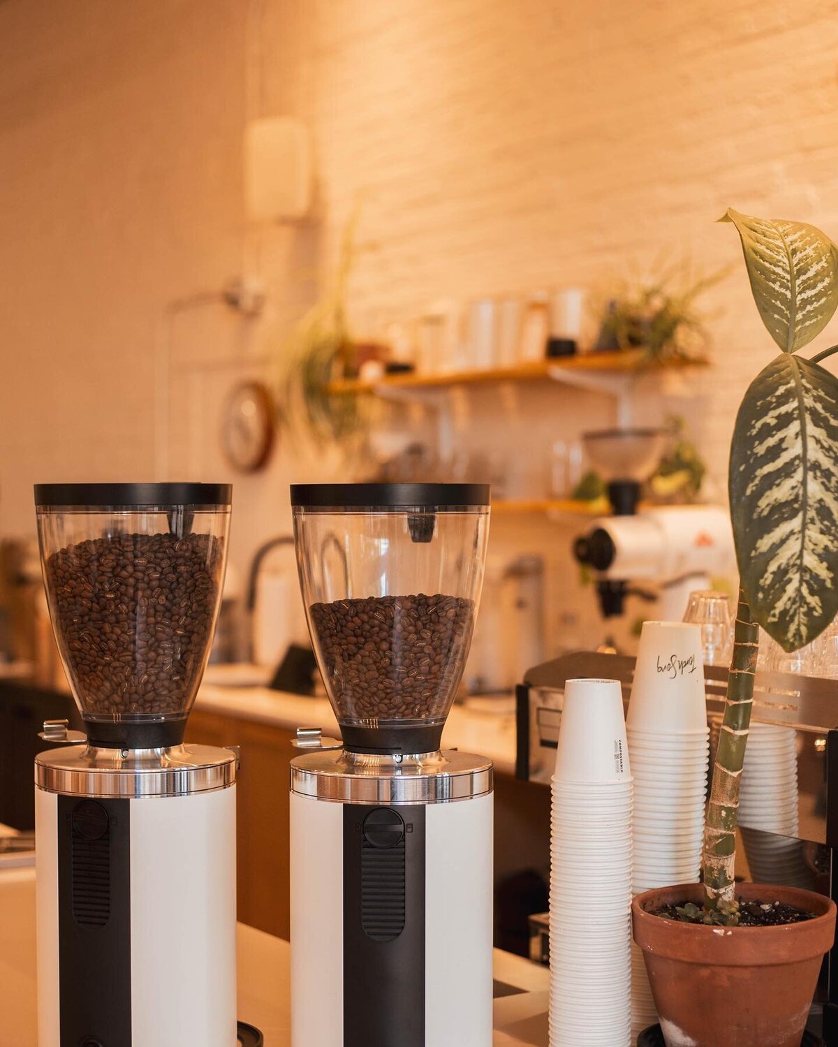 2023-05-09_3099078275305907708-min