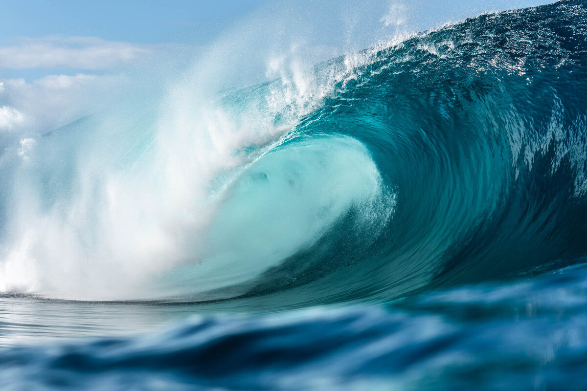 SM-WarmTropics-05633