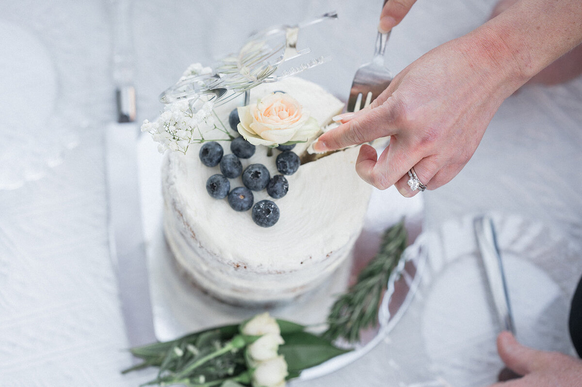 carmen_may_photography_ohiopyle_pa_elopement-117