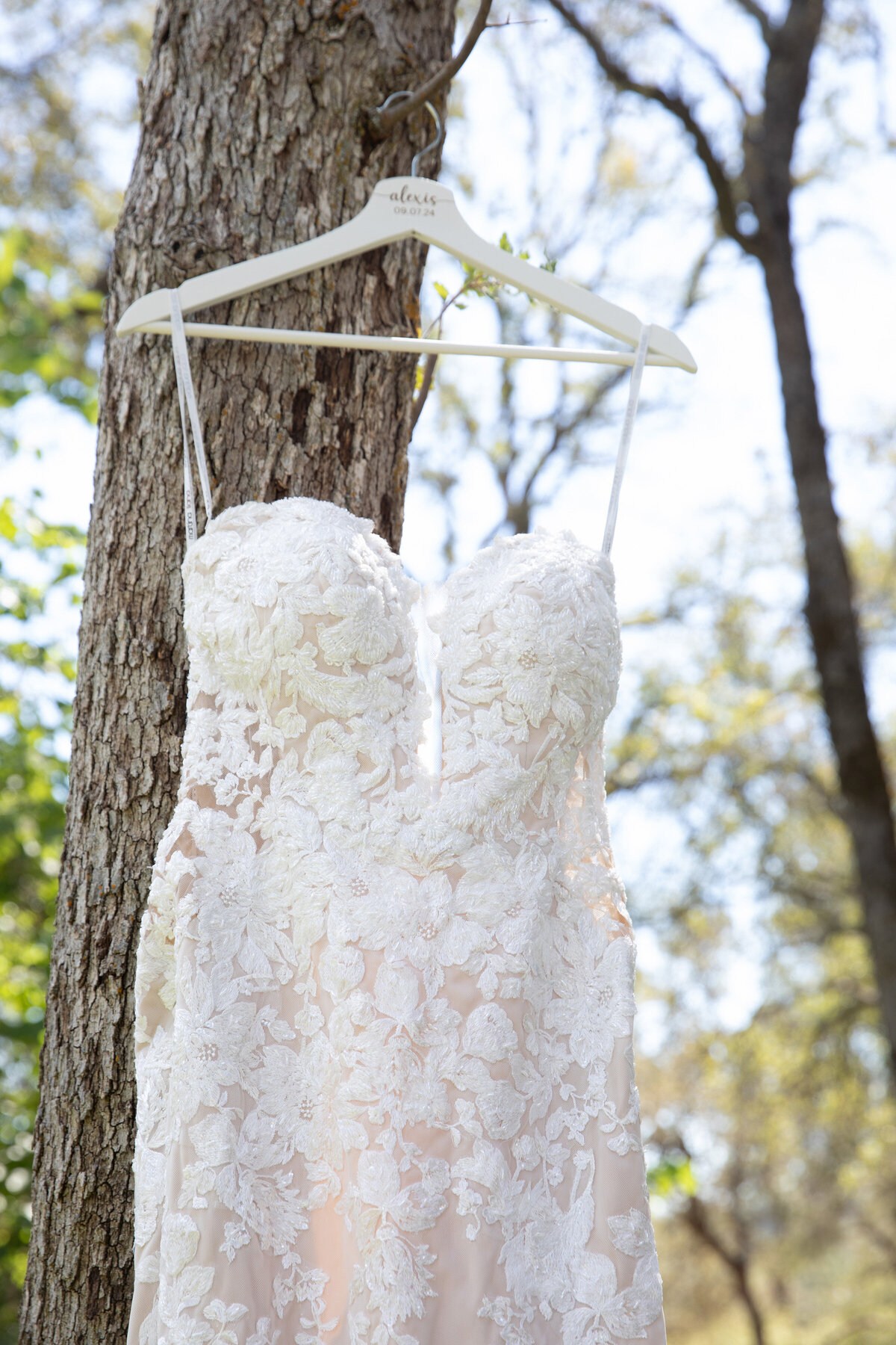 wedding dress in tree