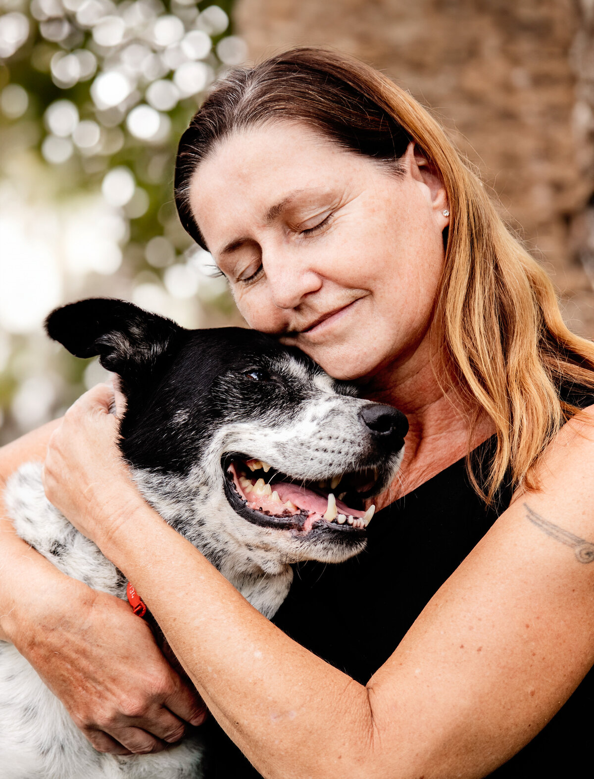 end of life pet photography brisbane