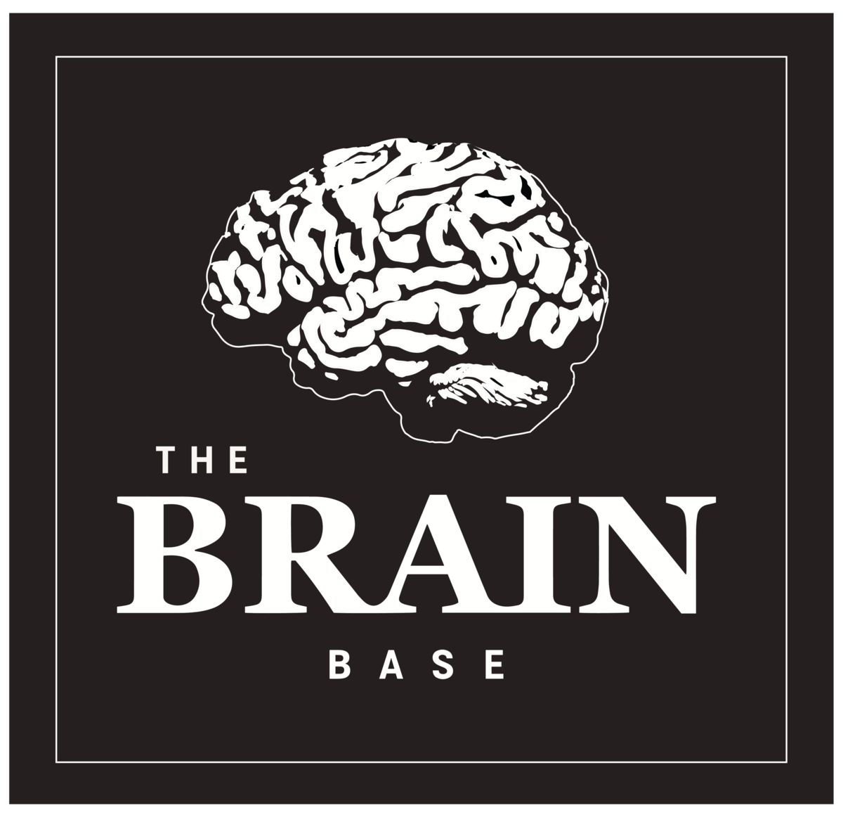 The Brain Base