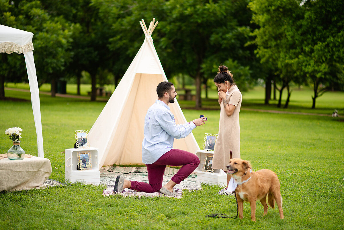 Where to propose in Austin man on one knee proposing next to dog