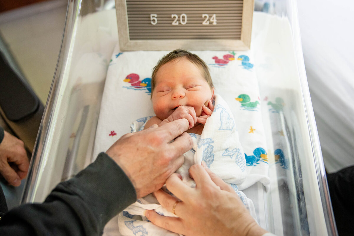 Newborn baby laying in bassinet with mom and dad's hands in the photo as well
