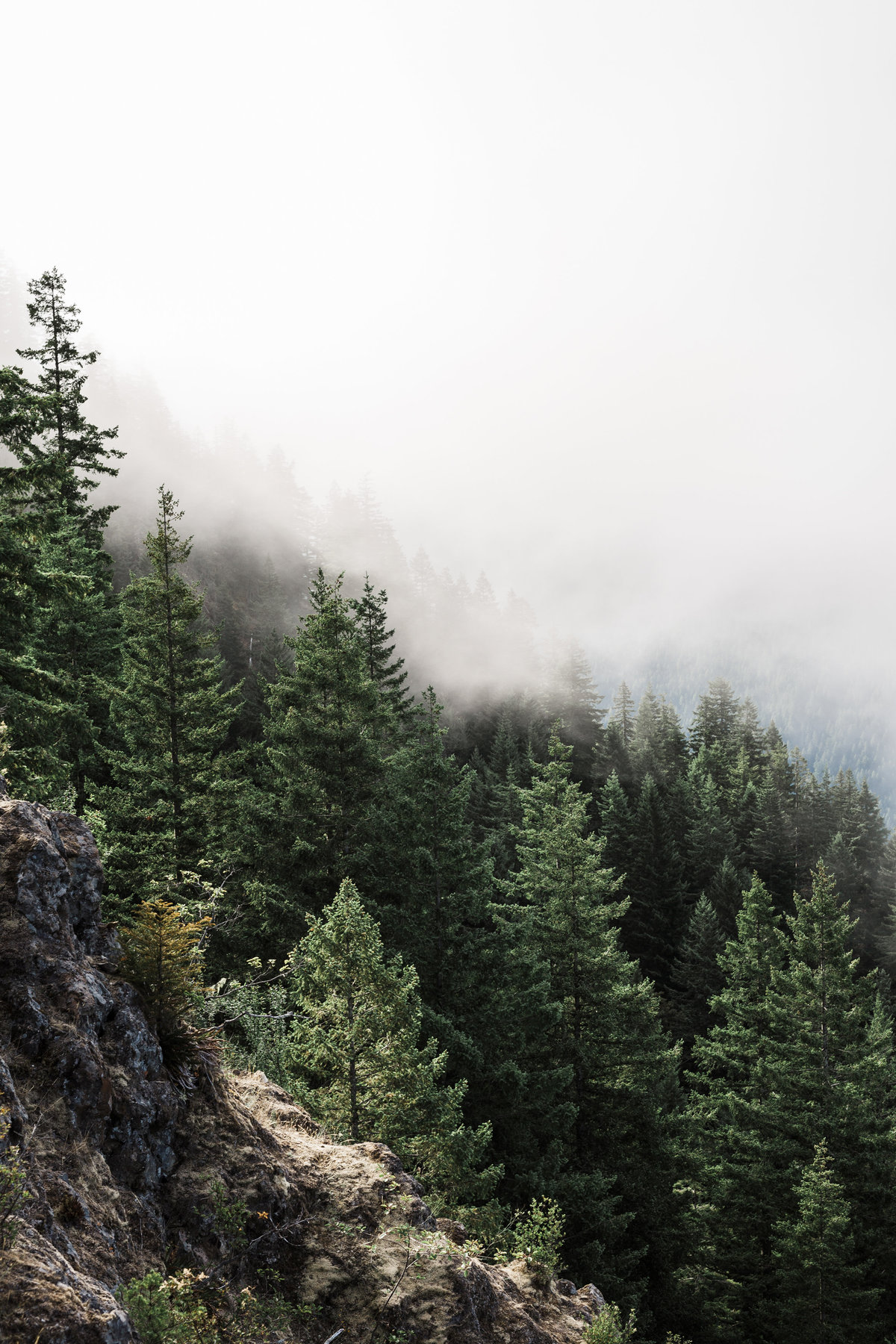 Adventure-Elopement-Photographer-Olympic-National-Park-14