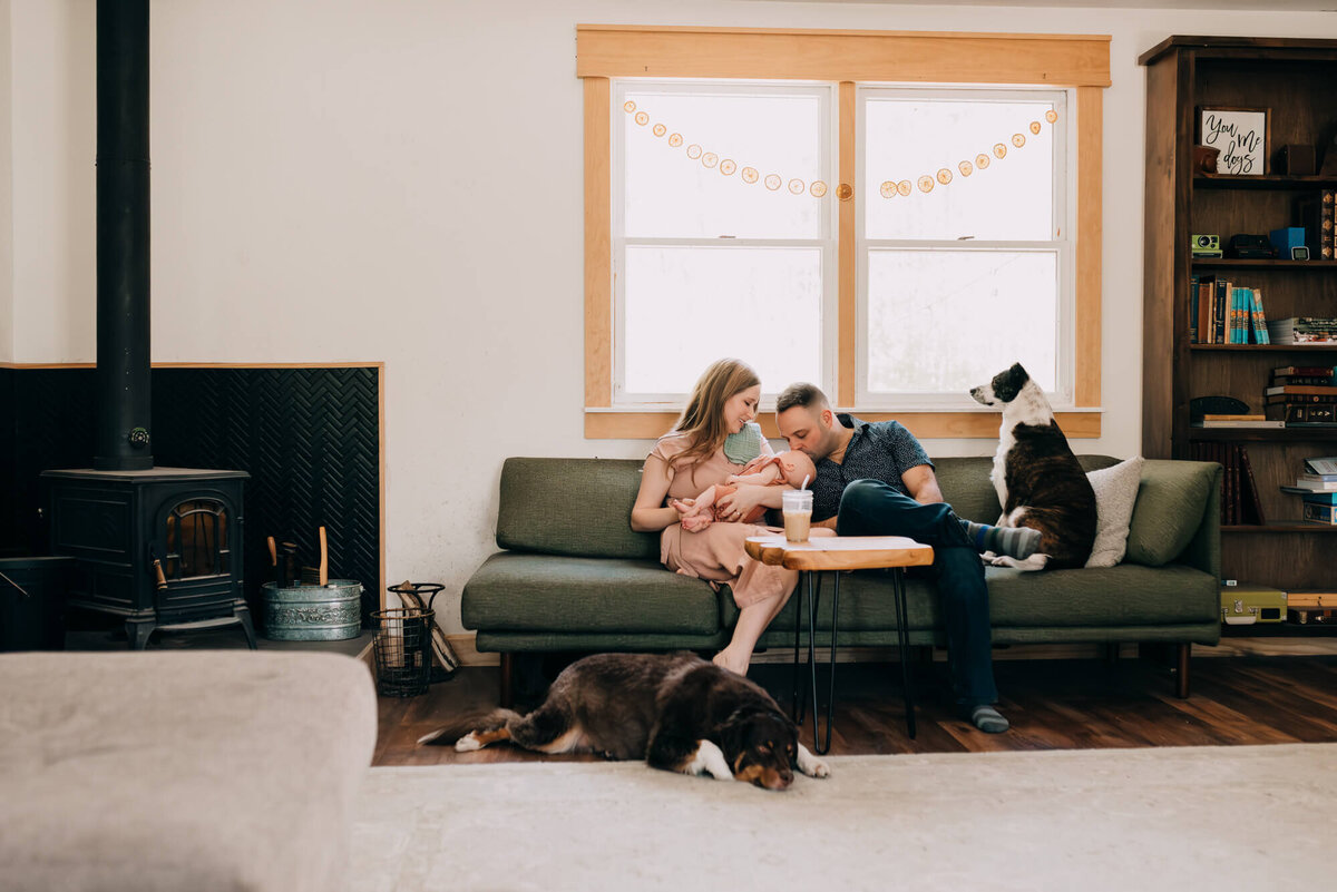 A young couple hold their newborn daughter on a green couch in front of a bright window surrounded by their two dogs