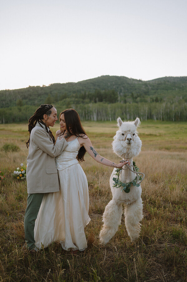 A woman holds the face of her wife and is about to kiss her. The other woman is holding a llama next to them.