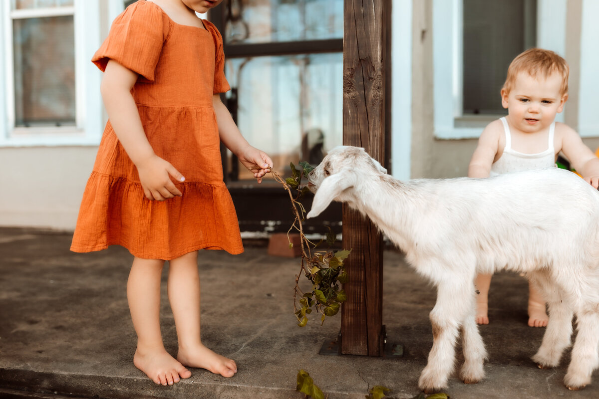 farm8_FamilyPhotography_KansasCity_SmithvilleMO_overlandparkks18