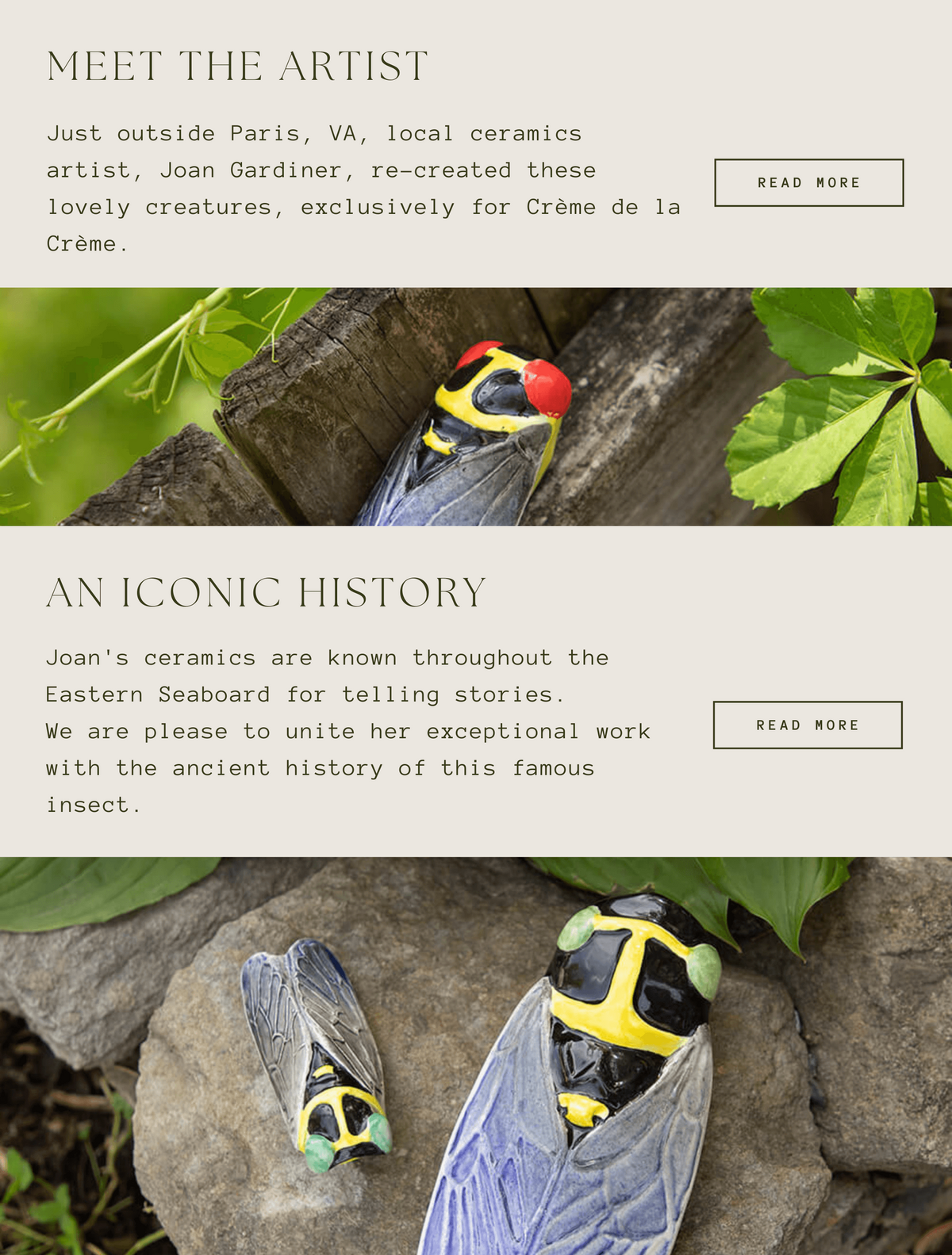 Sweet Pea Ink Creative | Brand + Web  Services - Email Design Showing Ceramic Cicadas