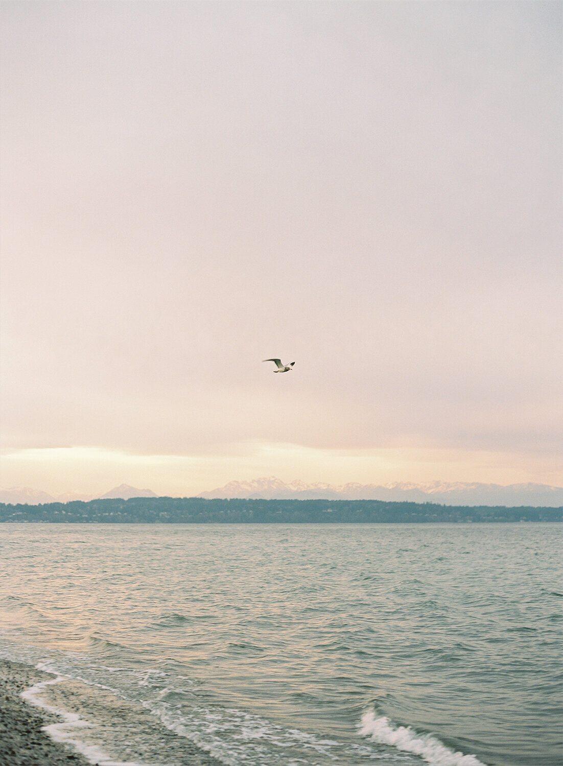 Seattle City Engagement Session on Film - Tetiana Photography - D&AJ - 17