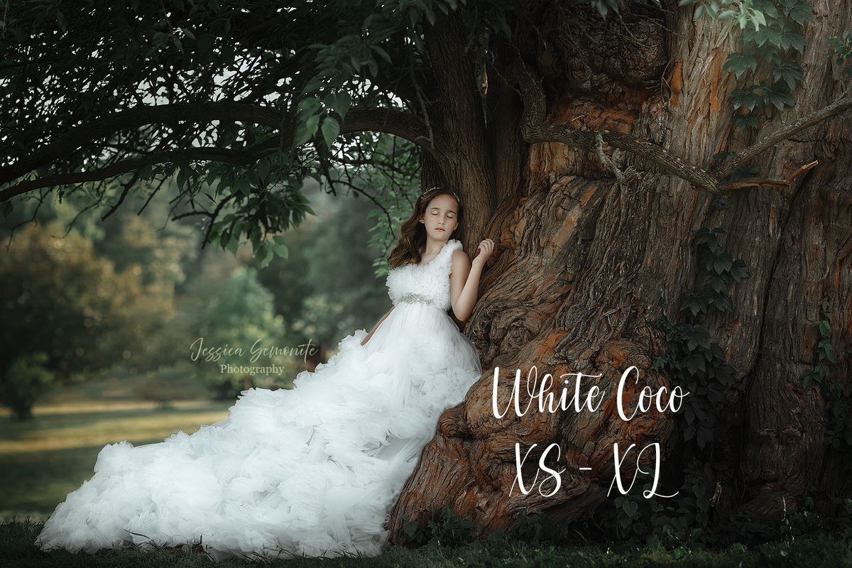 White_COCO