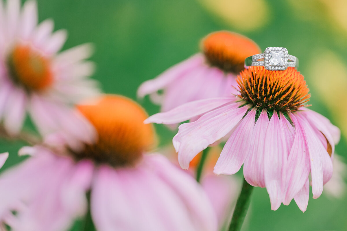An engagement ring on pink and yellow sunflowers 