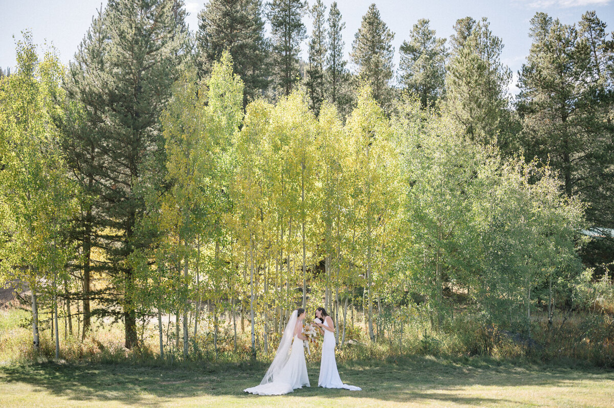 C+A_Camp_Hale_Vail_Colorado_LGBTQ_Wedding_by_Diana_Coulter_Web-33