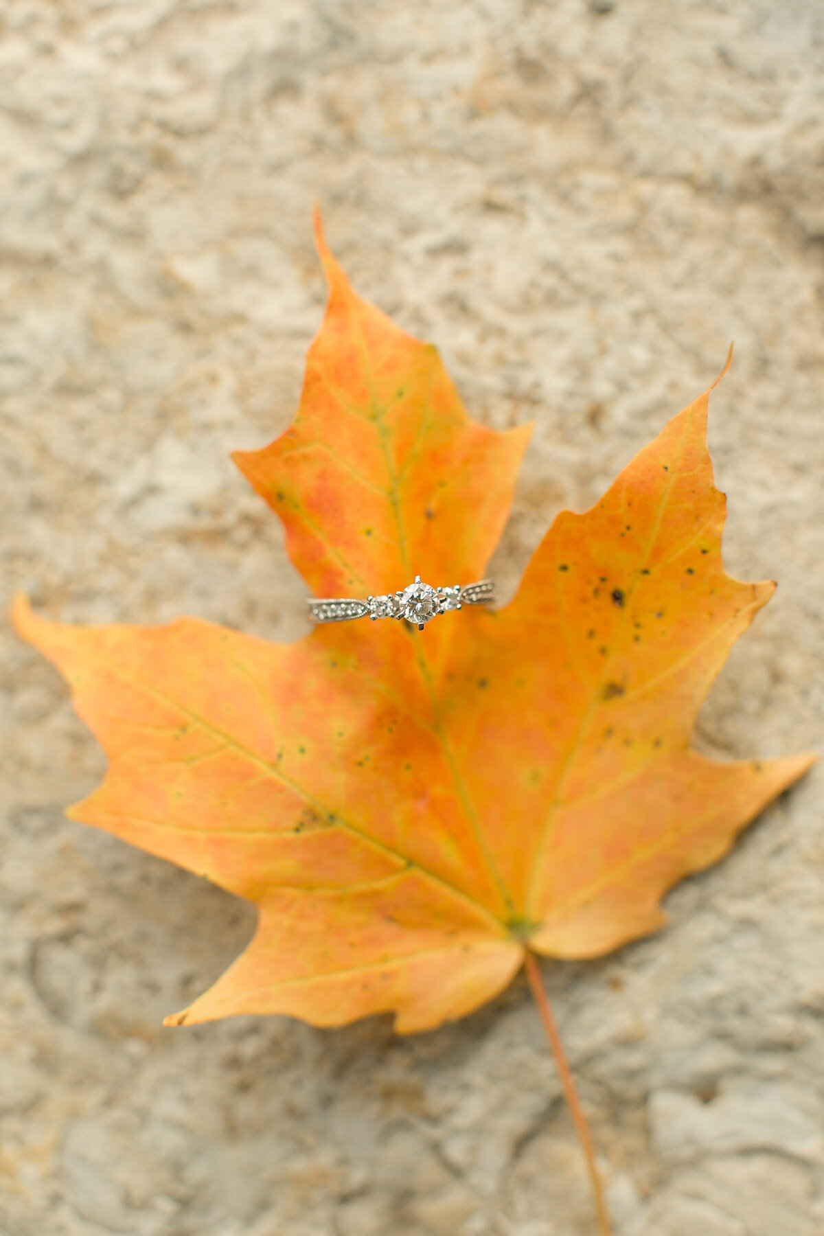 Abby-and-Brandon-Alexandria-MN-Engagement-Photography-TE