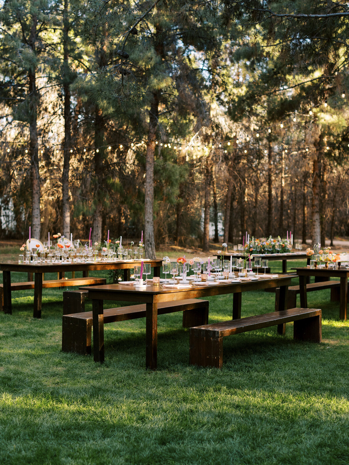 014_Sara_Bishop_Spring_Meadows_Schnepf_Farms_March 05_ 2024