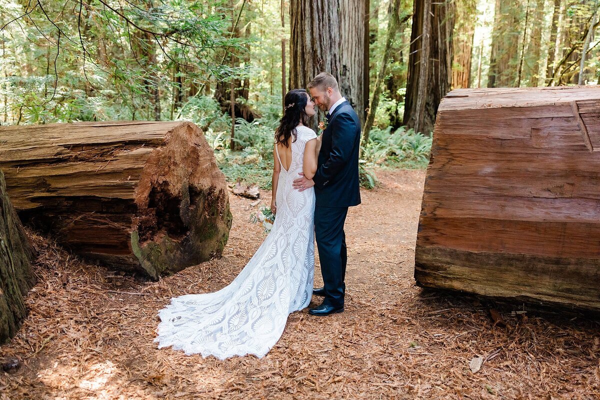 A bride and groom stand in between a fallen Redwood tree that has been sawed in two.