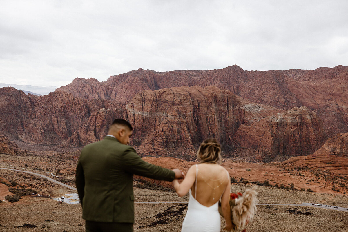 ZionSnowCanyon-dallinhassard-3042
