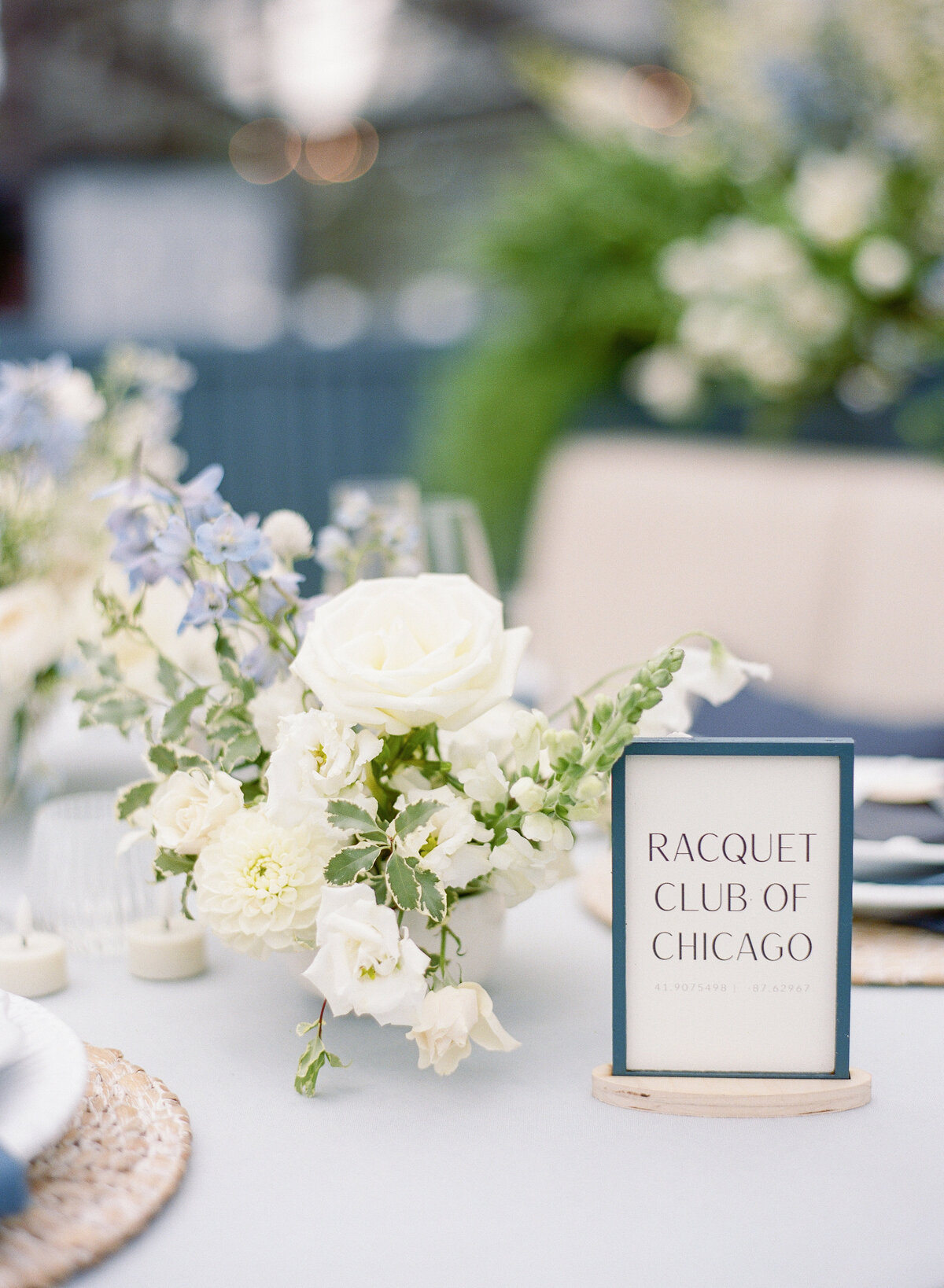 Diece Chris Wedding-1110