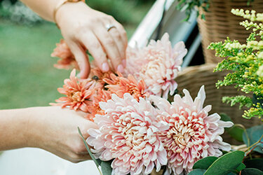 Horn Photography & Design Buds - 0067_