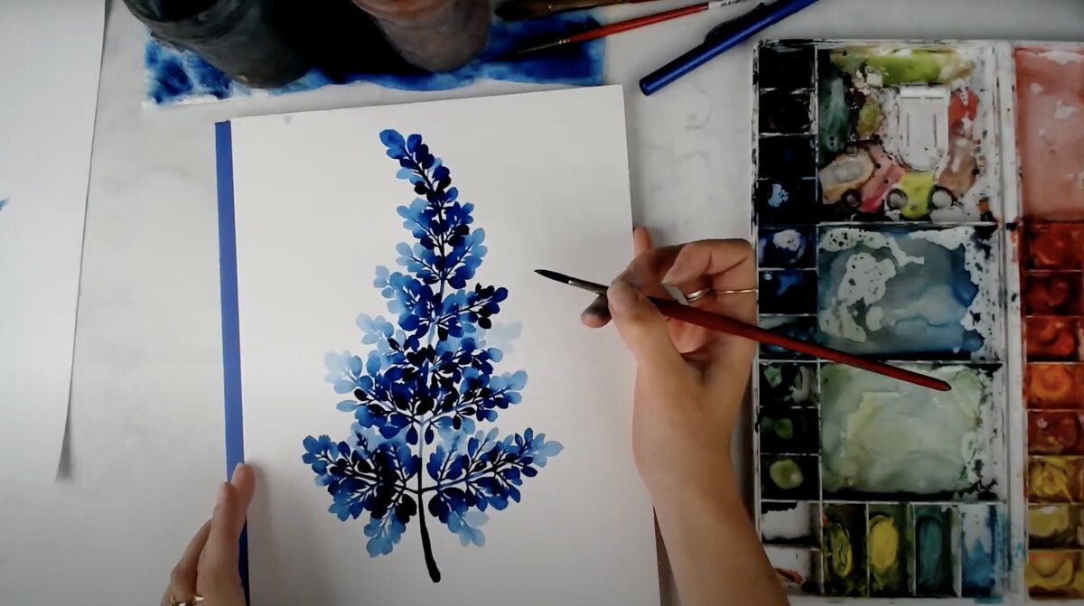 live-2021-05-26-blue-fern-2