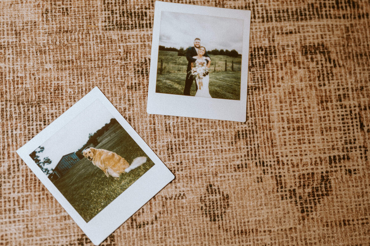 indianapolis indiana wedding photographer 275