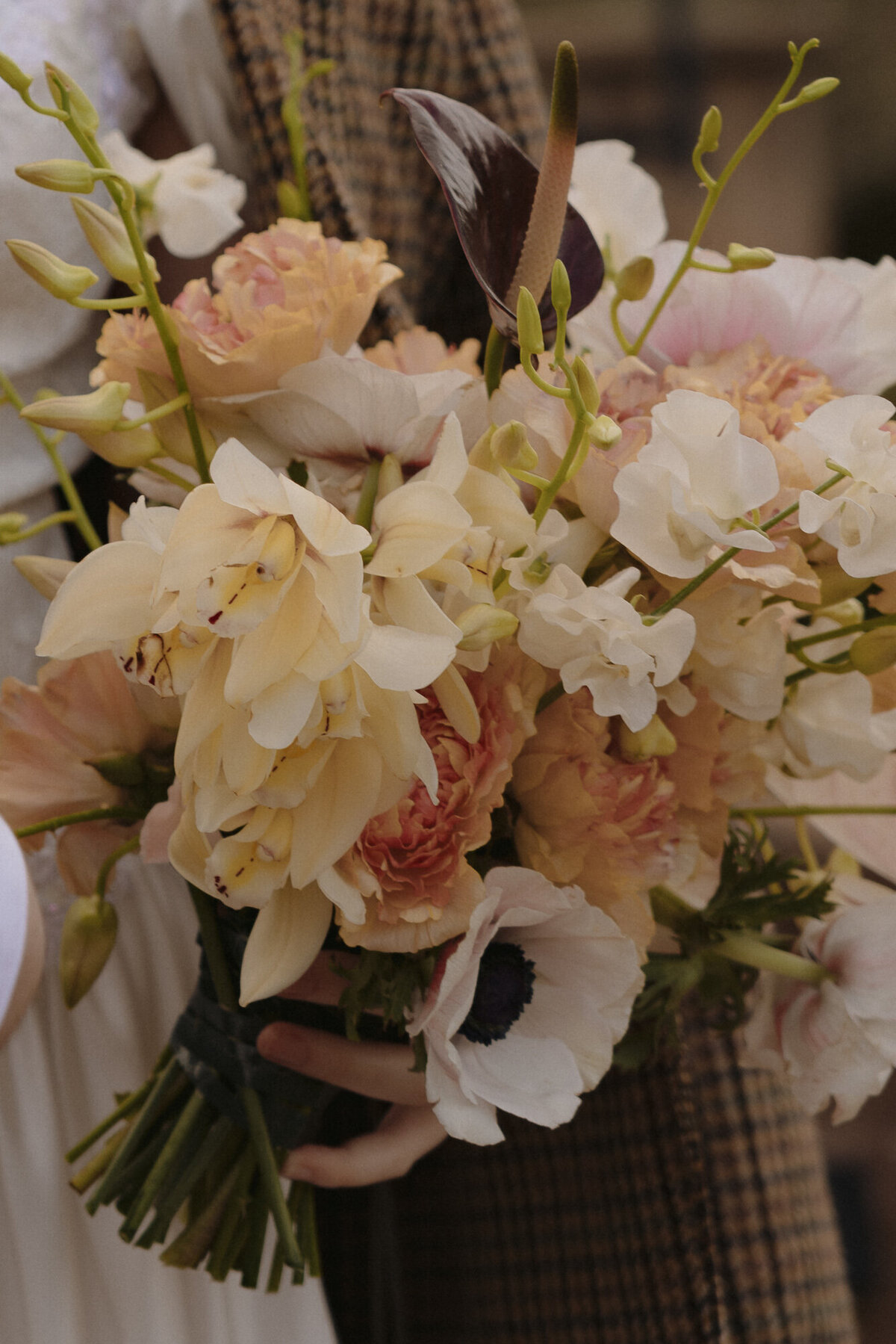 ashes-photography-the-inn-at-diamond-woods-monroe-oregon-wedding-66