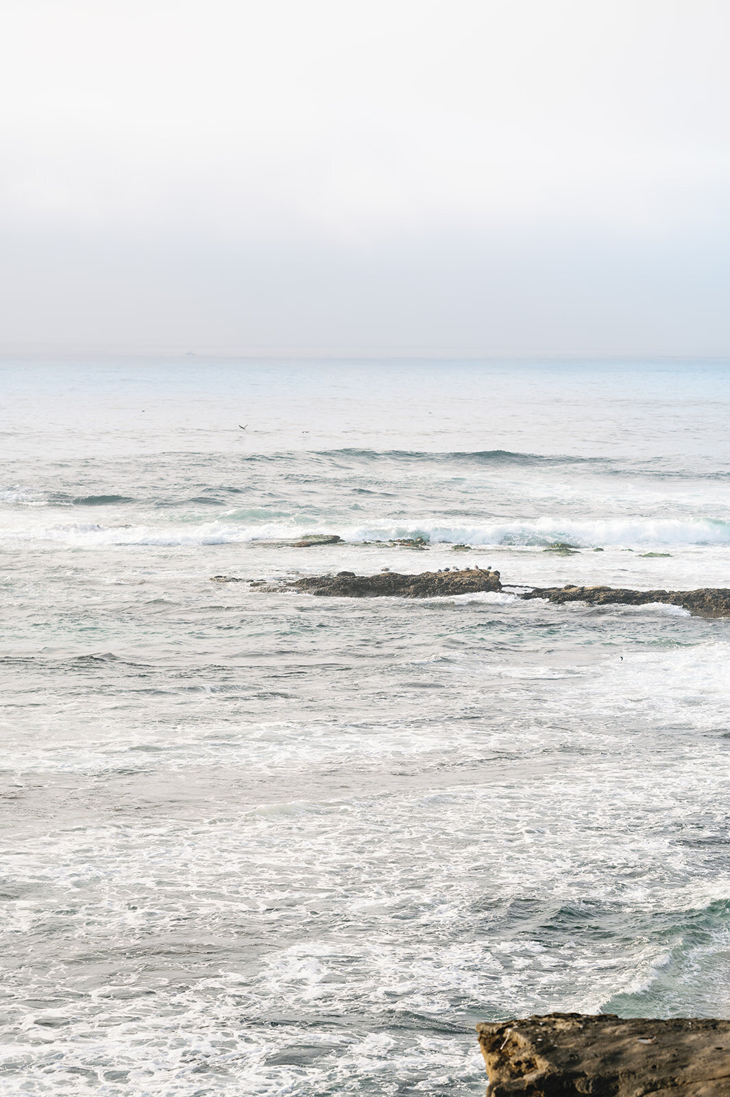 Photography_Hybrid_Wedding_Photos_2025-0239