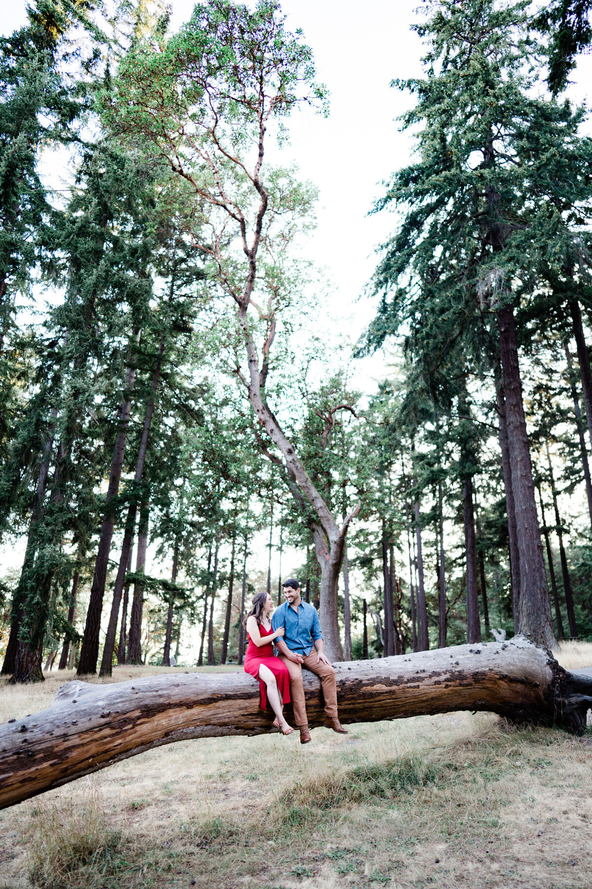 Man and woman sitting on a big tree elebrating their engagement at Lincoln Park, making the list of best places for engagement photos in Seattle