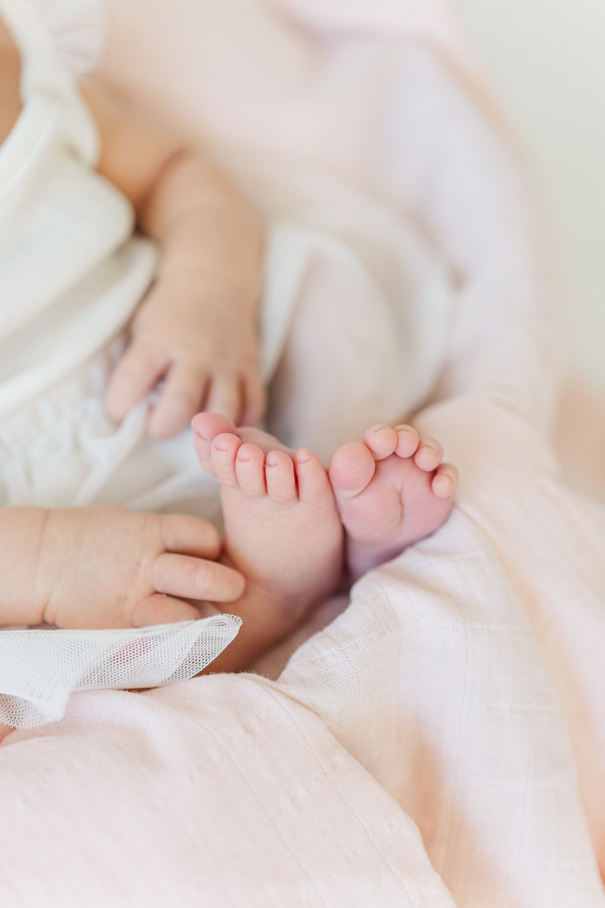 Natural Light Studio Newborn Baby Girl Light and Airy Timeless Client Closet Elena Spraguer Photography 0043