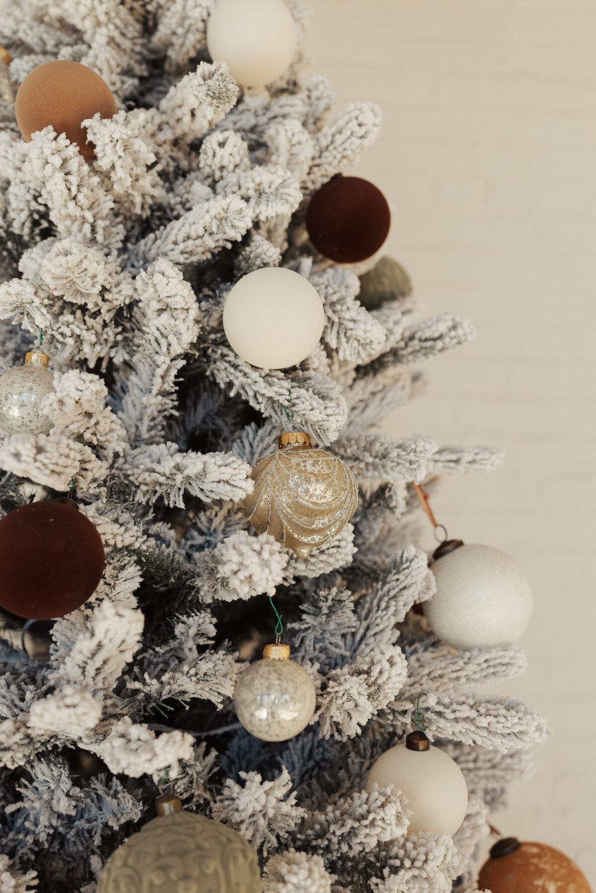 Christmas photography session set display at The Archer Atelier