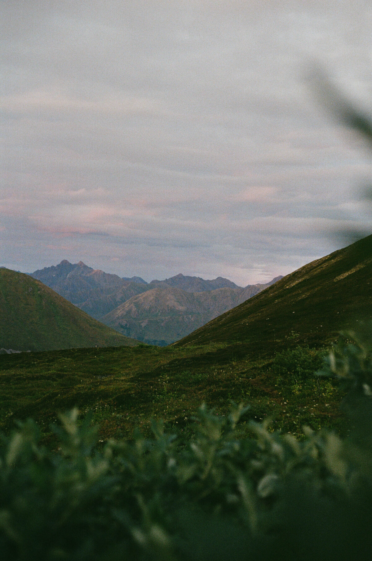 alaskafilmphotographer19