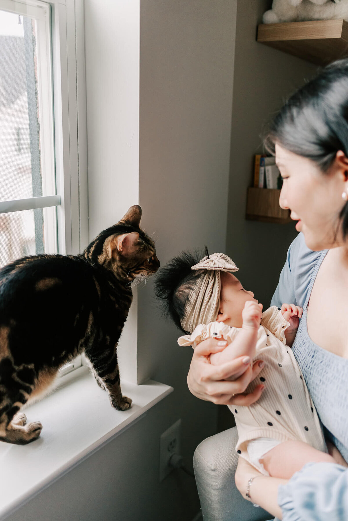 A bengal cat named Penny investigating the smells of a newborn baby