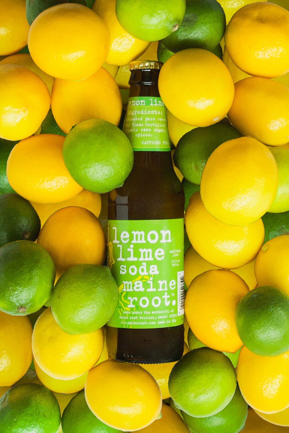 Maine Root Bottle LL