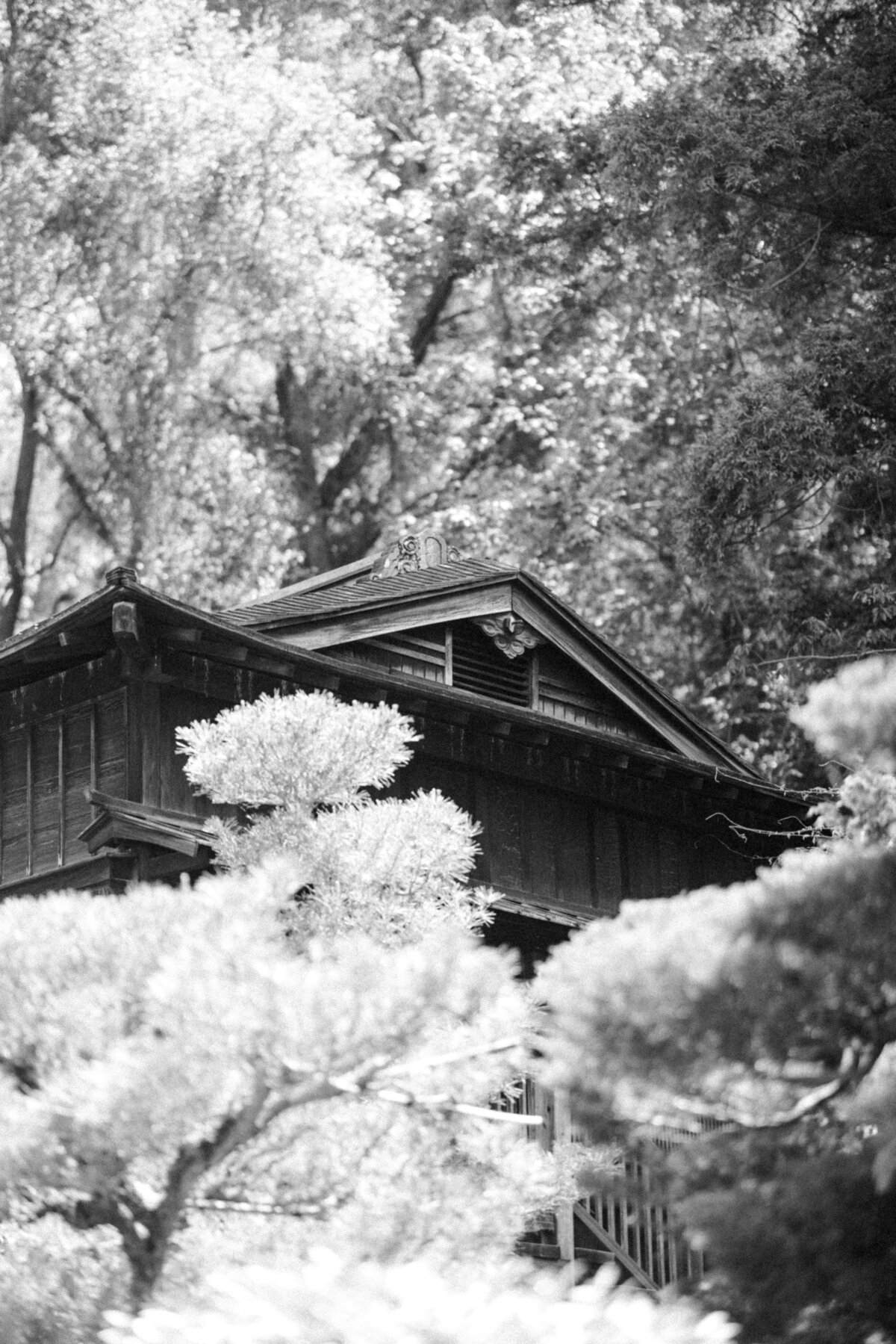 Hakone Estate and Japanese Garden Wedding by B Erkmen Photography-144