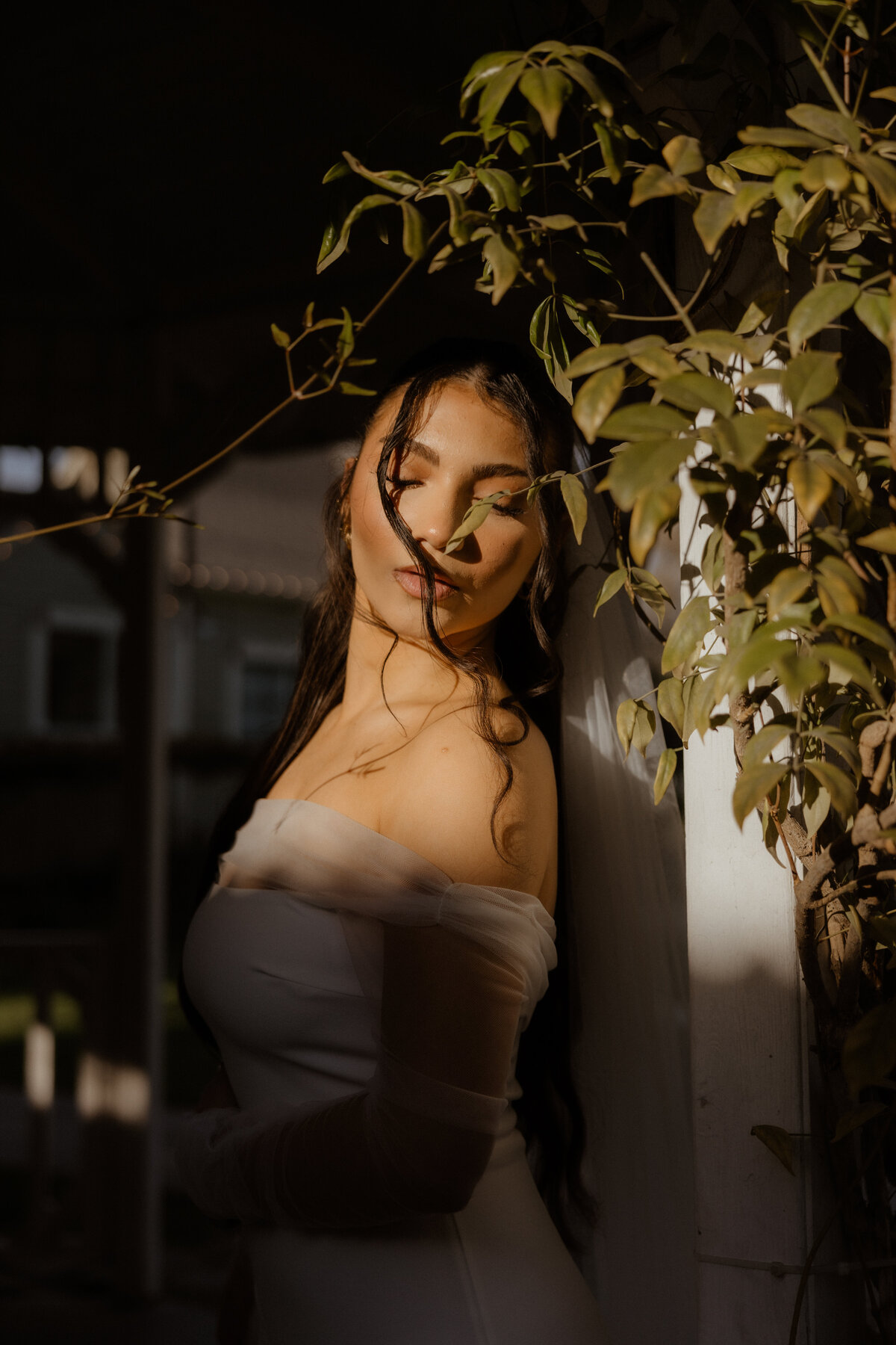 Daisy Janae Photos