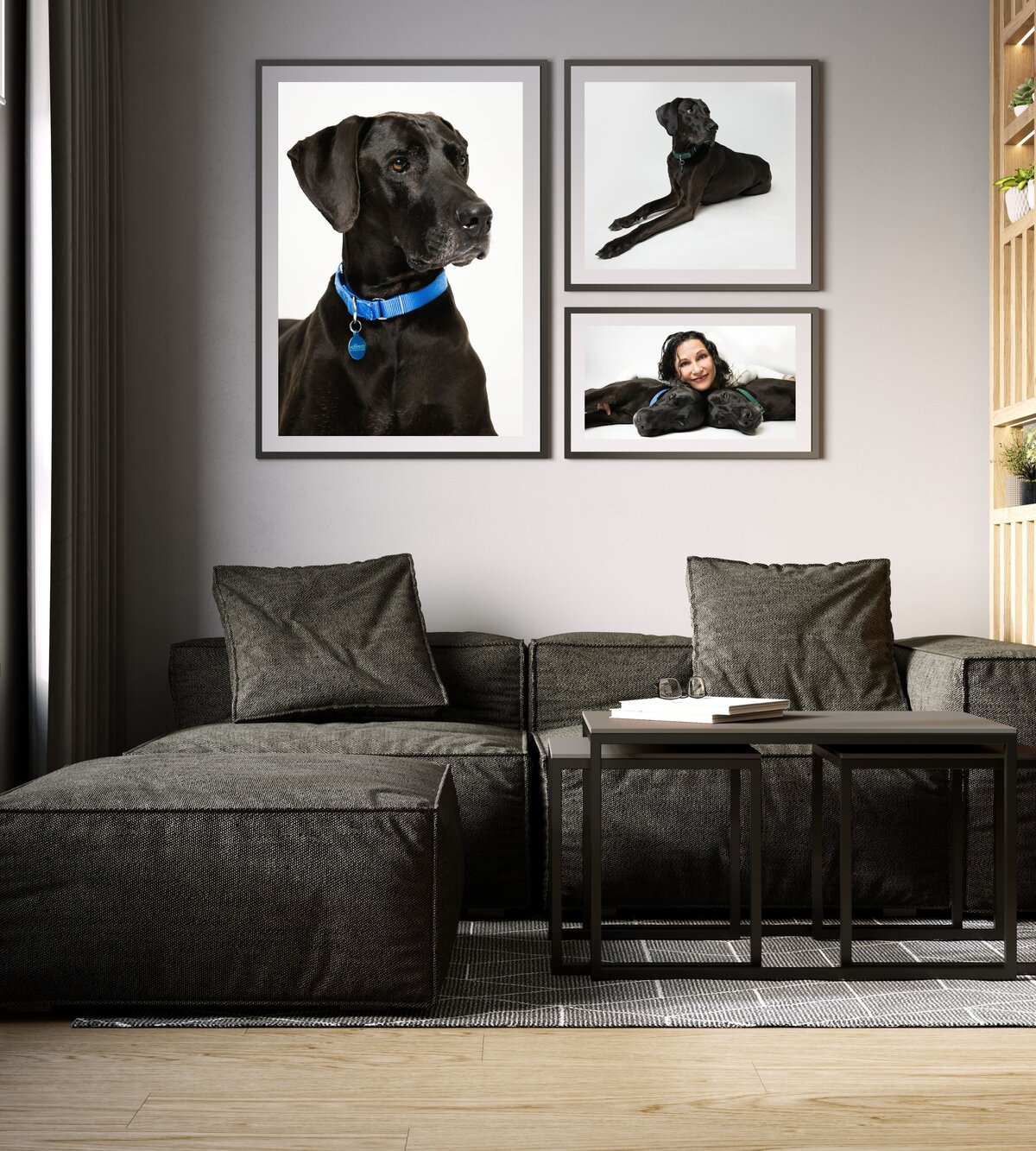 sacramento-pet-portrait-art (5)