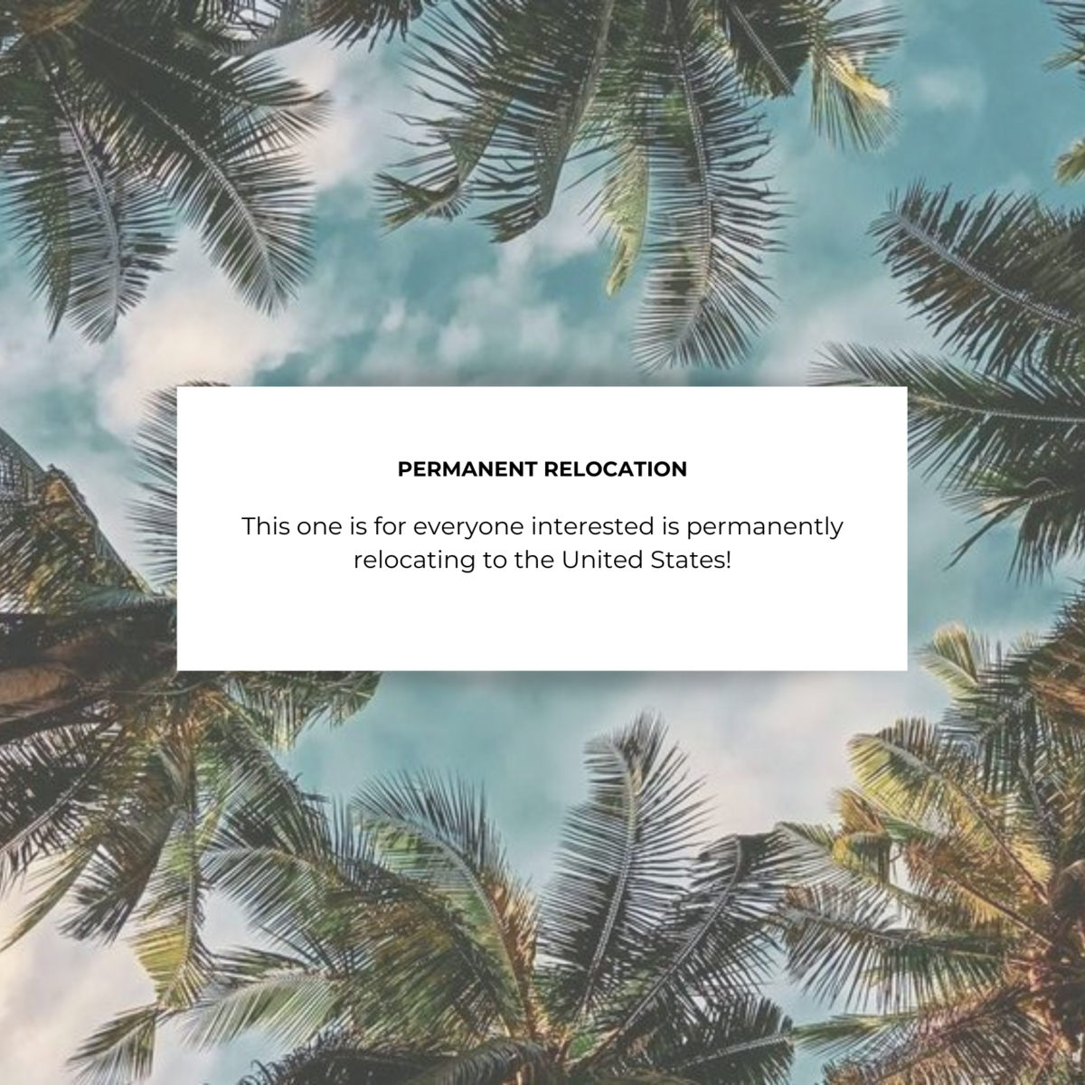 WEBSITE Relocation (Instagram Post)