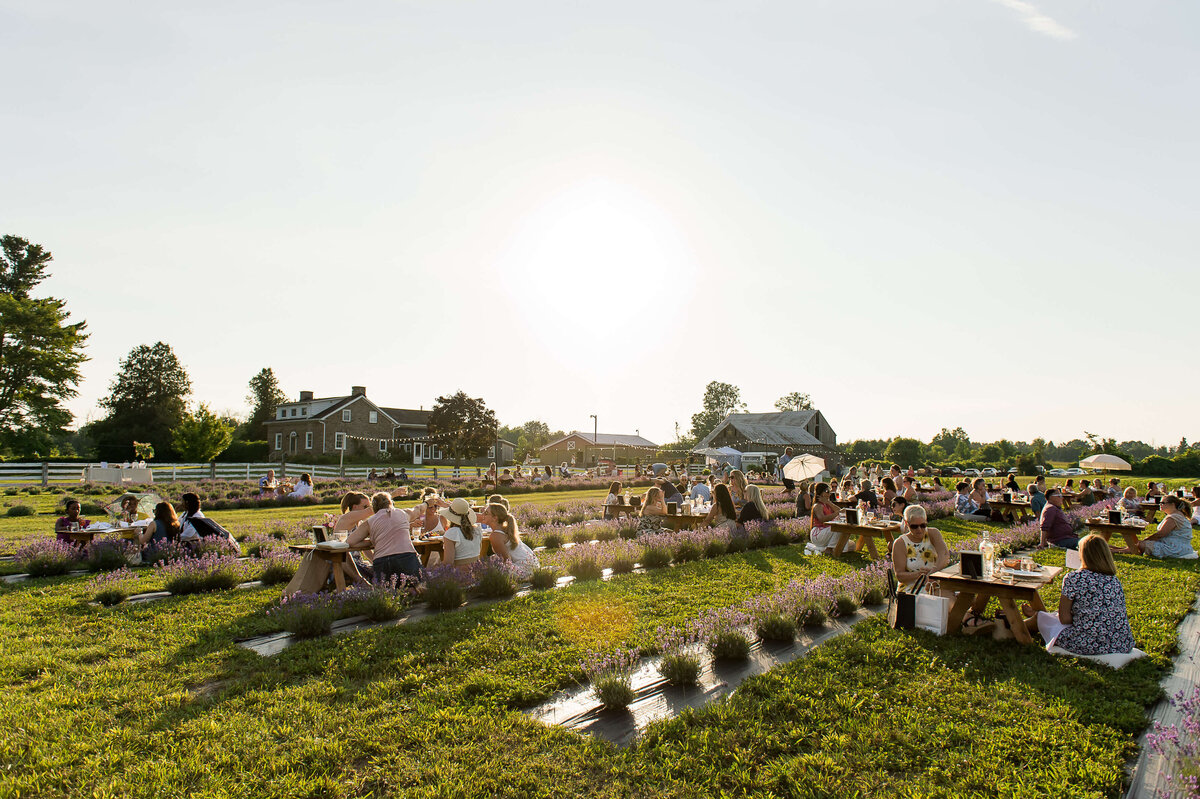 a wide angle of photo of guests sitting and sharing a charcuterie picnic at Soiree in the Field.  a closeup photo of the charcuterie served to guests at Soiree in the Field.  Captured by Ottawa Event Photographer JEMMAN Photography COMMERCIAL