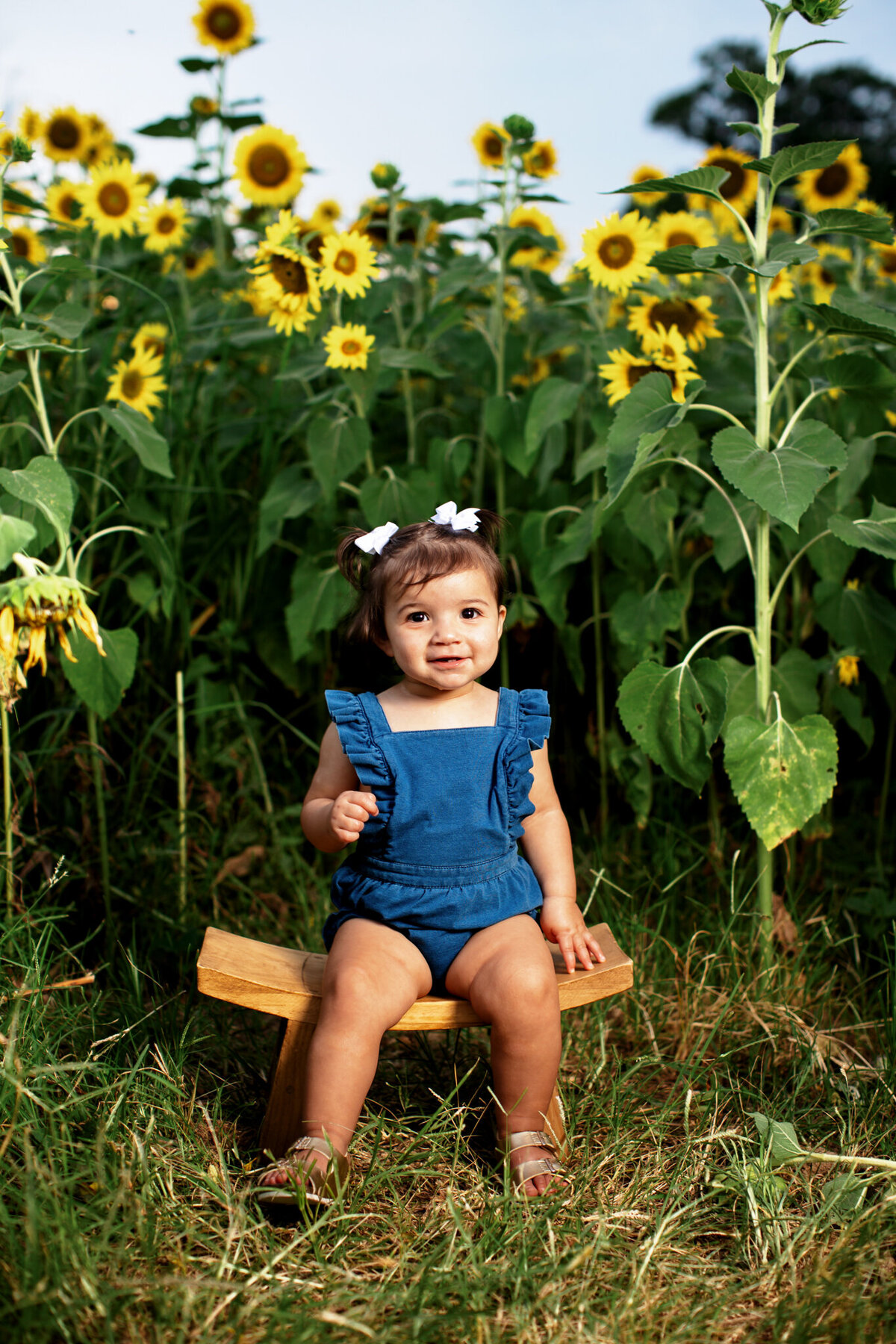Best milestone photographer NW Arkansas, NW Arkansas baby photographer, milestone session near me, NW Arkansas baby portrait studio, professional baby photos
