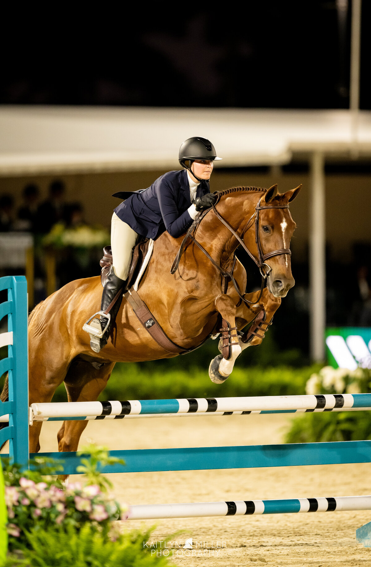 Photo Mar 20 2025, 7 50 51 PM