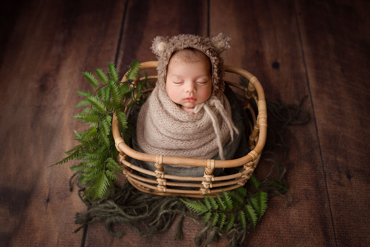 newborn baby in a bamboo basket wearing a bear hat and surrounded by green ferns