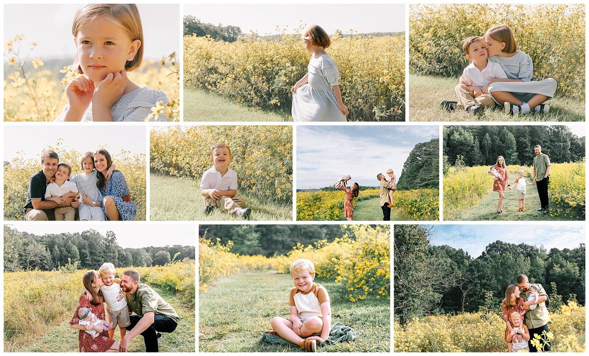 mini-sessions-near-me