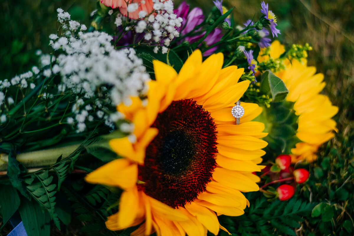 Flower-Detail-Engagement-Session