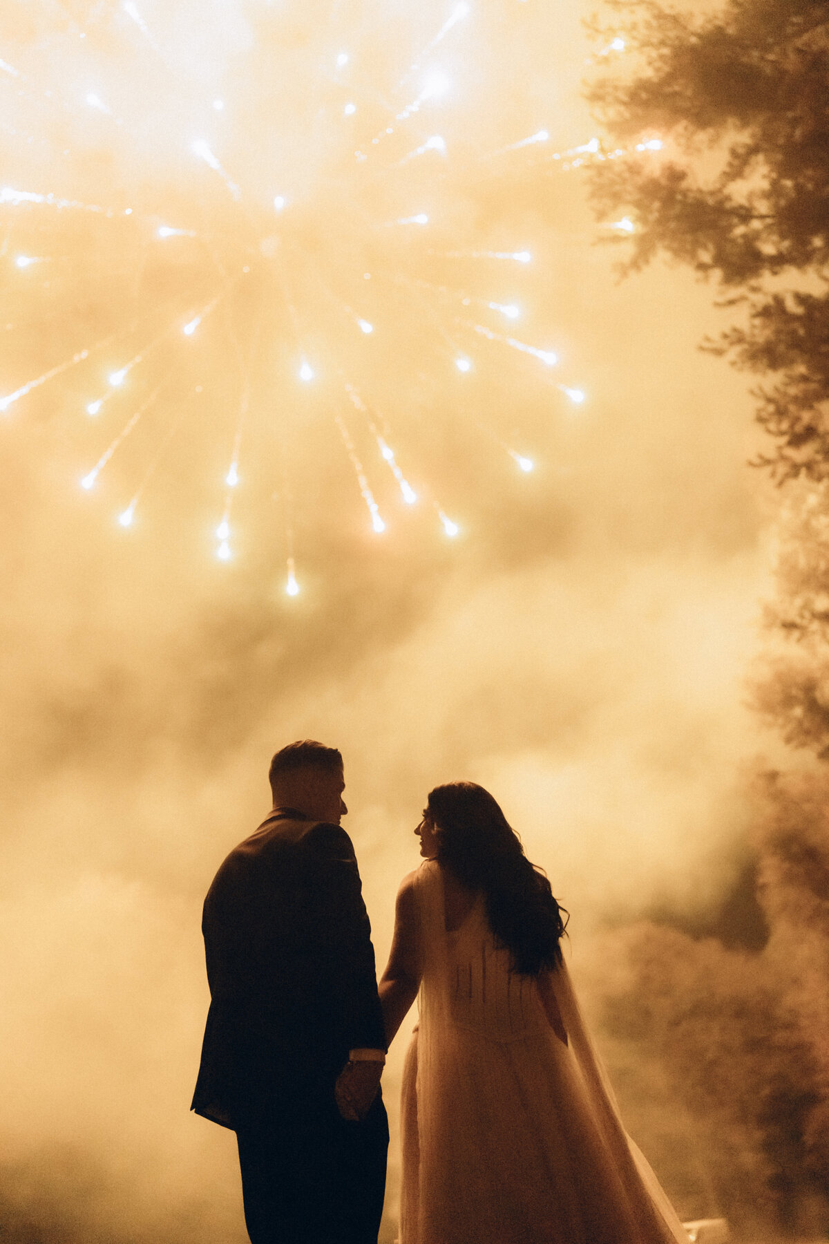 SURPRISE-COLASACCO-WEDDING-115