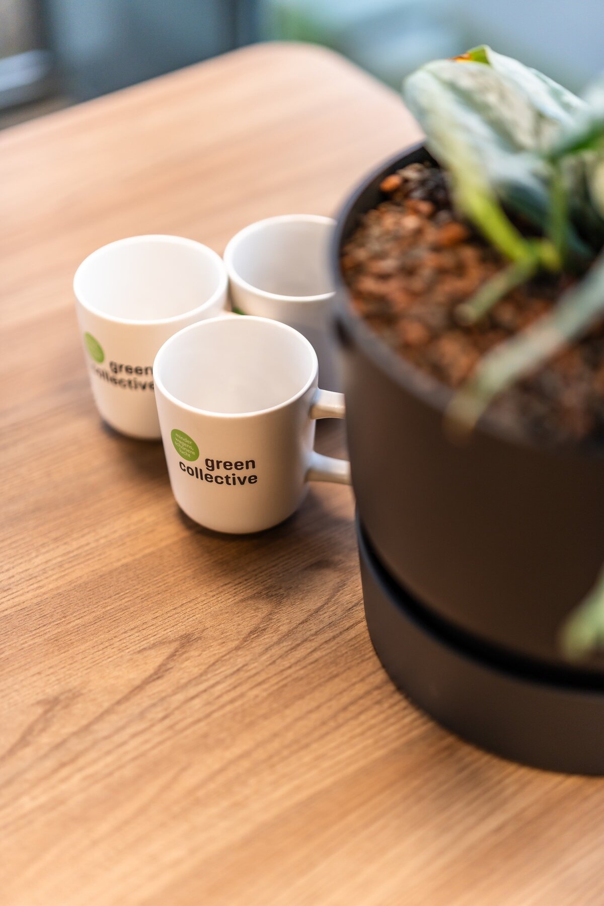 GREEN_COLLECTIVE_VEENENDAAL-79