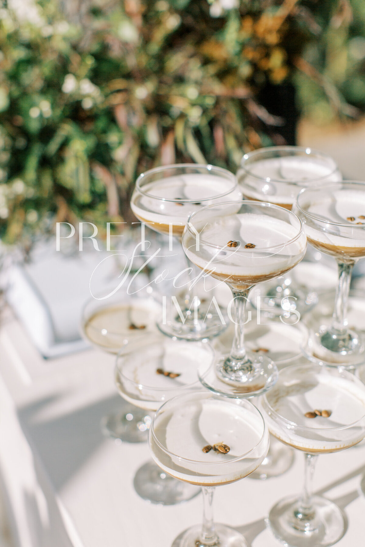 Pretty Stock Images - Winery Shoot-307