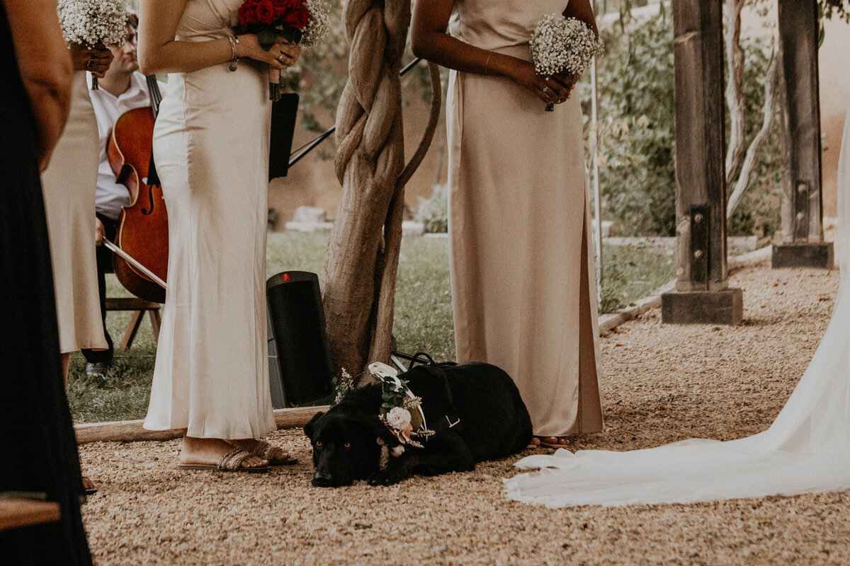 casa-perea-art-space-wedding-corrales-new-mexico-27